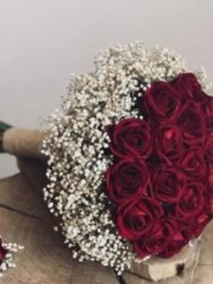 rose petal2