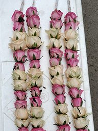 star flowers garland2